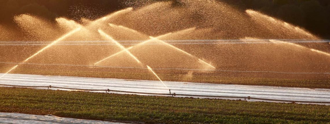 Für Landwirte ist entscheidend, wie hoch der Wassergehalt in der Wurzelzone ist. Doch der kann sich auf kleinstem Raum ändern und ist großflächig nur schwer messbar.