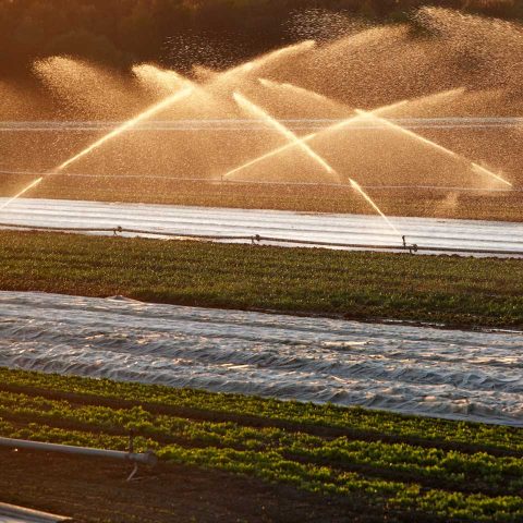 Für Landwirte ist entscheidend, wie hoch der Wassergehalt in der Wurzelzone ist. Doch der kann sich auf kleinstem Raum ändern und ist großflächig nur schwer messbar.